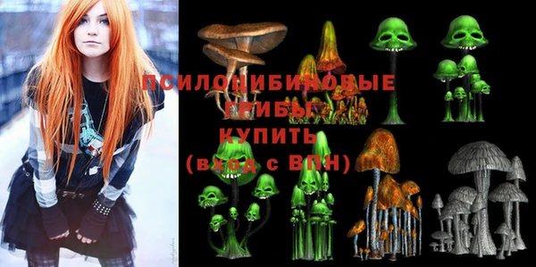метадон Арсеньев