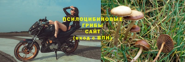 jwh Аркадак